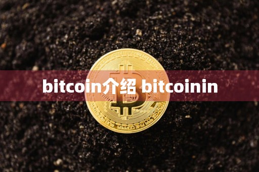 bitcoin介绍 bitcoinin