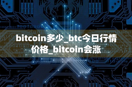 bitcoin多少_btc今日行情价格_bitcoin会涨