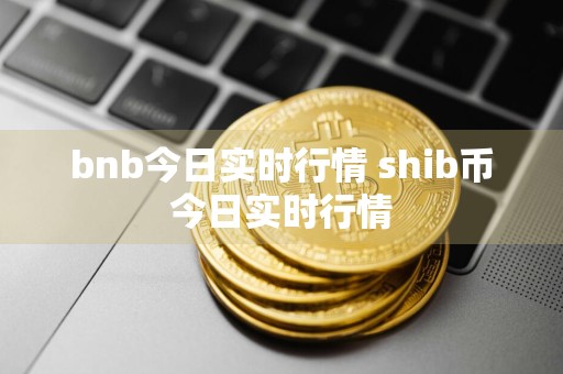 bnb今日实时行情 shib币今日实时行情