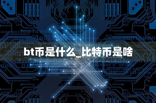 bt币是什么_比特币是啥
