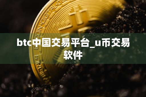 btc中国交易平台_u币交易软件