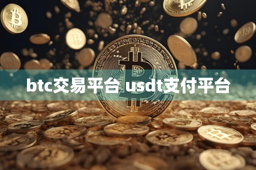 btc交易平台 usdt支付平台