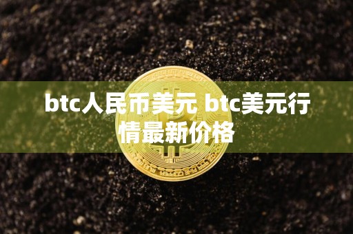 btc人民币美元 btc美元行情最新价格