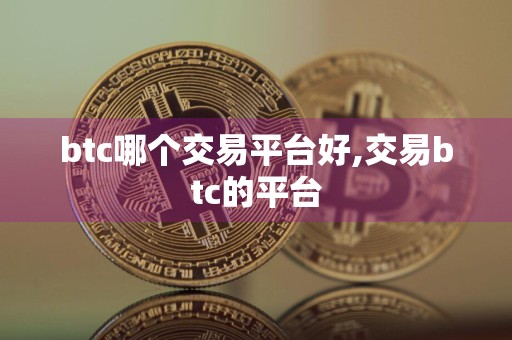 btc哪个交易平台好,交易btc的平台