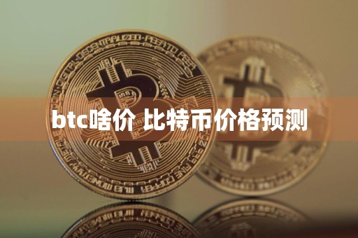 btc啥价 比特币价格预测