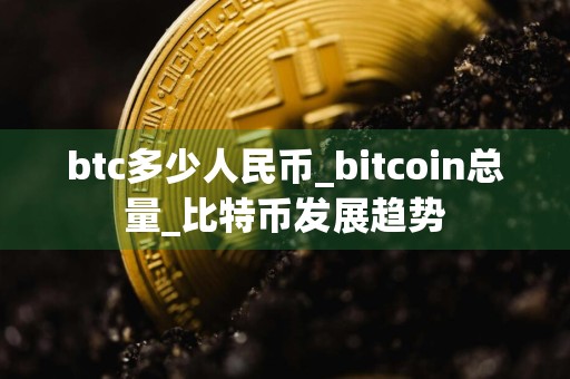 btc多少人民币_bitcoin总量_比特币发展趋势