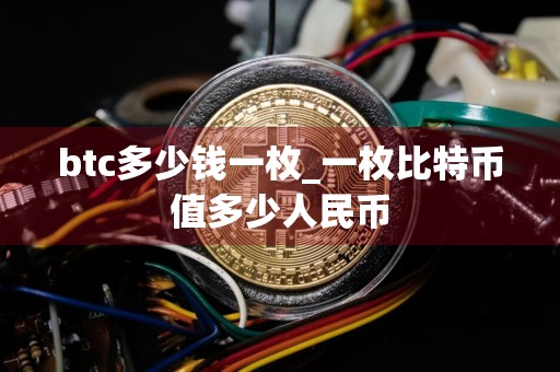 btc多少钱一枚_一枚比特币值多少人民币
