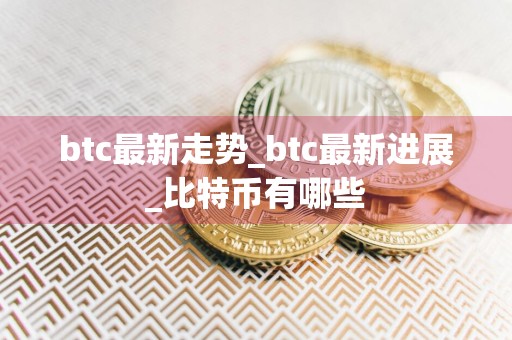 btc最新走势_btc最新进展_比特币有哪些