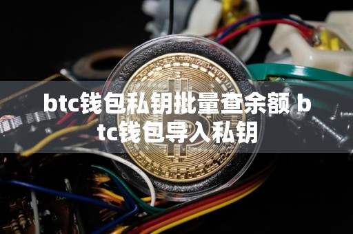 btc钱包私钥批量查余额 btc钱包导入私钥
