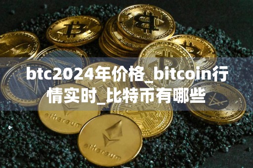 btc2024年价格_bitcoin行情实时_比特币有哪些