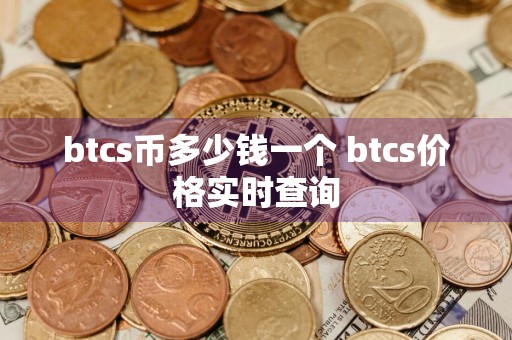 btcs币多少钱一个 btcs价格实时查询