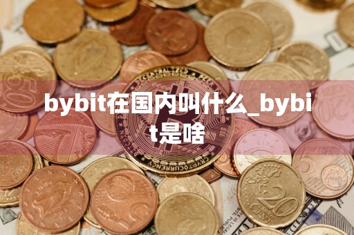 bybit在国内叫什么_bybit是啥