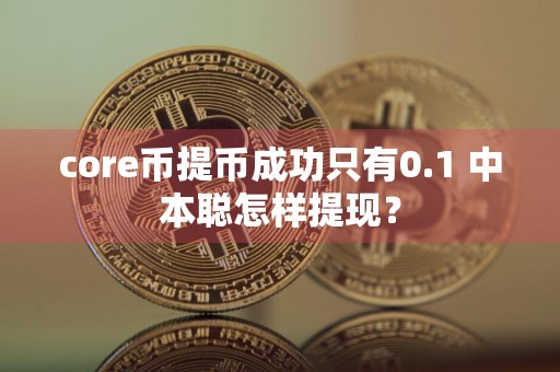 core币提币成功只有0.1 中本聪怎样提现?