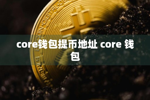 core钱包提币地址 core 钱包