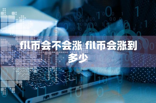 fil币会不会涨 fil币会涨到多少