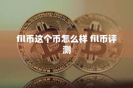 fil币这个币怎么样 fil币评测