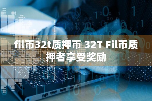 fil币32t质押币 32T Fil币质押者享受奖励