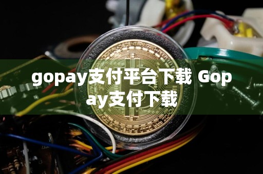 gopay支付平台下载 Gopay支付下载