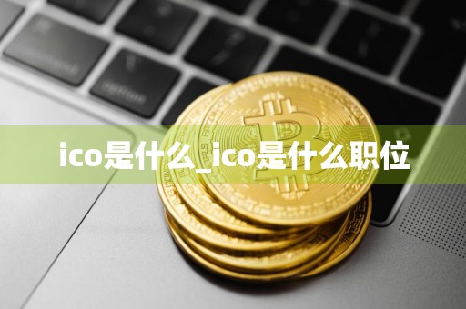 ico是什么_ico是什么职位