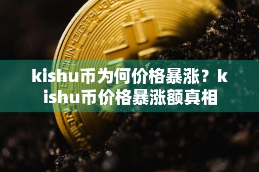 kishu币为何价格暴涨?kishu币价格暴涨额真相