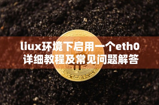 liux环境下启用一个eth0 详细教程及常见问题解答