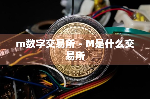 m数字交易所 – M是什么交易所