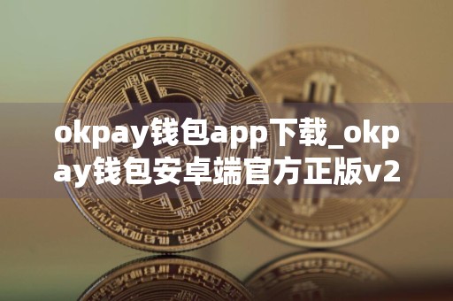 okpay钱包app下载_okpay钱包安卓端官方正版v2.8.5