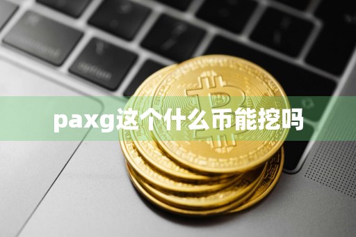 paxg这个什么币能挖吗