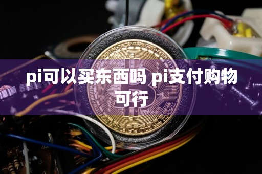 pi可以买东西吗 pi支付购物可行