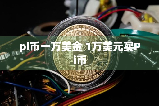 pi币一万美金 1万美元买Pi币