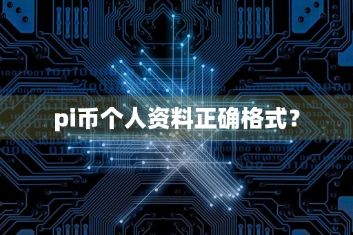 pi币个人资料正确格式？