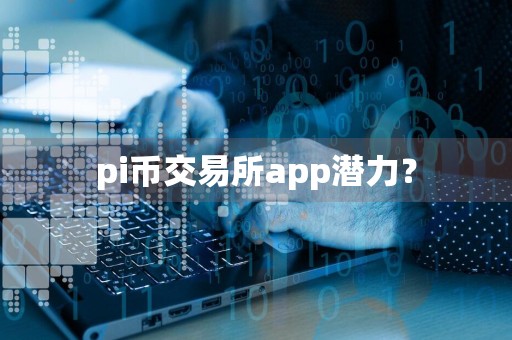 pi币交易所app潜力？