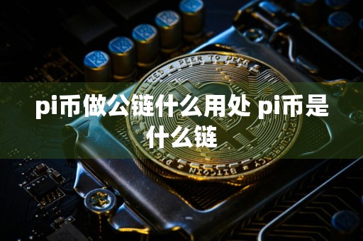 pi币做公链什么用处 pi币是什么链