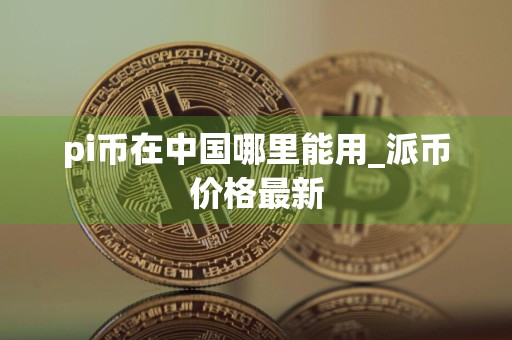 pi币在中国哪里能用_派币价格最新