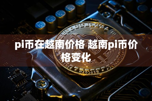 pi币在越南价格 越南pi币价格变化