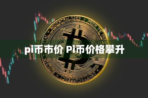 pi币市价 Pi币价格攀升