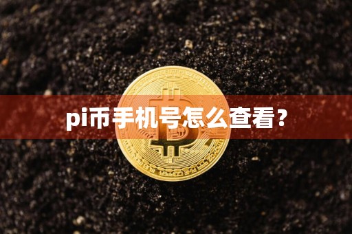 pi币手机号怎么查看？