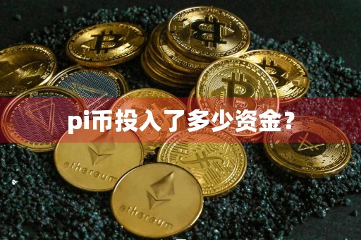 pi币投入了多少资金?