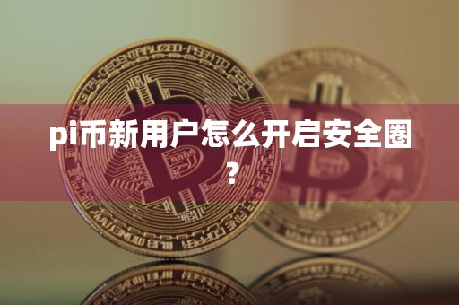 pi币新用户怎么开启安全圈？