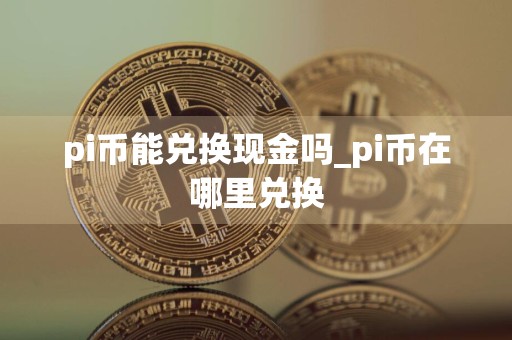 pi币能兑换现金吗_pi币在哪里兑换