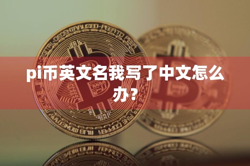 pi币英文名我写了中文怎么办?