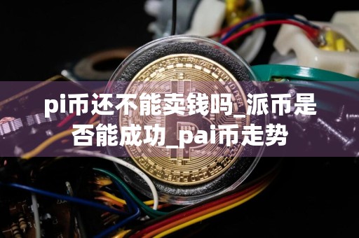 pi币还不能卖钱吗_派币是否能成功_pai币走势