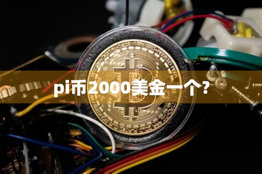 pi币2000美金一个?