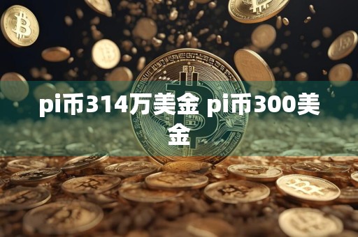 pi币314万美金 pi币300美金