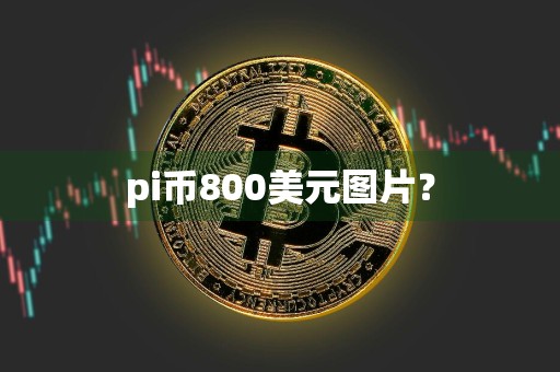 pi币800美元图片？