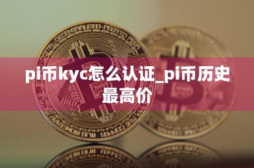 pi币kyc怎么认证_pi币历史最高价