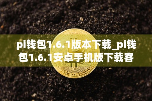 pi钱包1.6.1版本下载_pi钱包1.6.1安卓手机版下载客户端