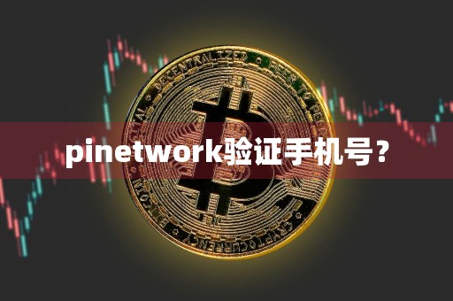 pinetwork验证手机号？
