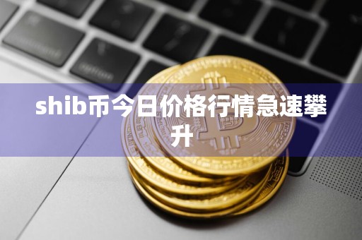 shib币今日价格行情急速攀升