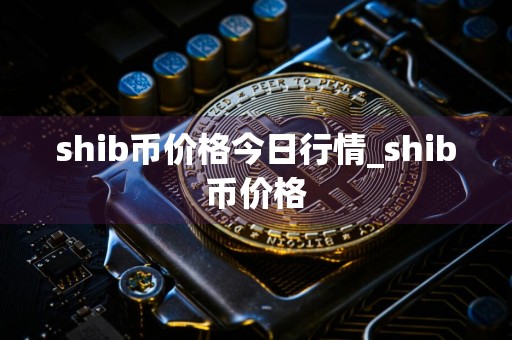 shib币价格今日行情_shib币价格